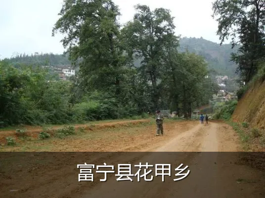 富宁县花甲乡